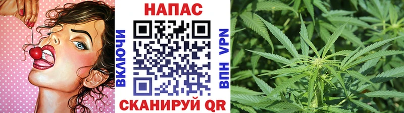 Какие есть наркотики Талица Бошки Шишки Мефедрон КОКАИН Альфа ПВП Гашиш
