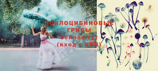 ECSTASY Лихославль