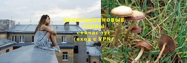 ГАЛЛЮЦИНОГЕННЫЕ ГРИБЫ Лиски