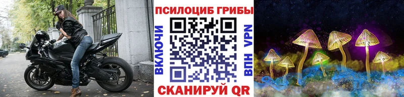Галлюциногенные грибы Magic Shrooms  закладка  площадка официальный сайт  Талица 